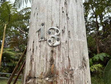 0 Ala Ohia St unit 706502, Volcano, HI 96785 - photo 3