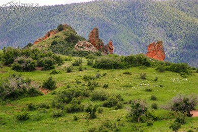 View of mountain background with a forest