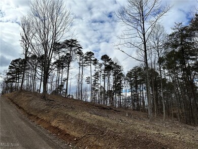 0 Fisher Ridge Rd Tract 1, Fleming, OH 45729 - photo 3