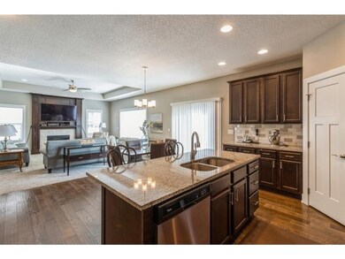 115 91st St, West Des Moines, IA 50266 - photo 6