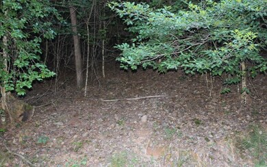 Additional View