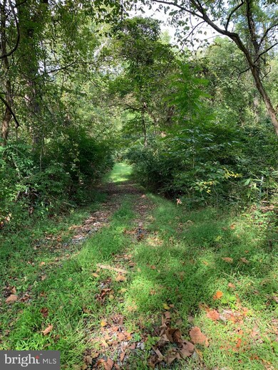 0 Low Line Road Tract 7 unit WVMO2001888, Great Cacapon, WV 25422 - photo 4