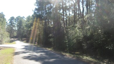 Lot 25 Lazy Hollow, Hockley, TX 77447 - photo 5