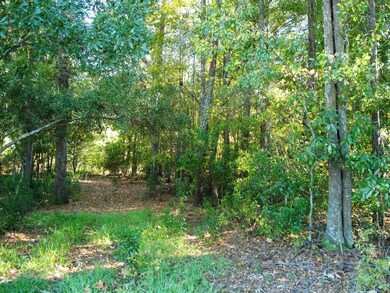 Lot in the Hamlets 014.JPG