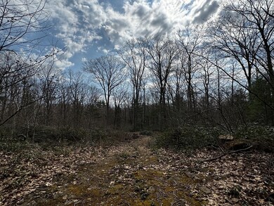 355 Leadmine Rd, Sturbridge, MA 01518 - photo 2