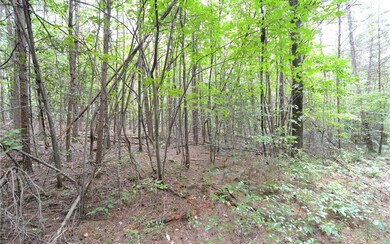 Additional View