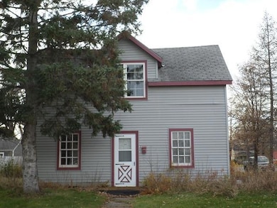 203 Kendall Ave S, Thief River Falls, MN 56701 - photo 3