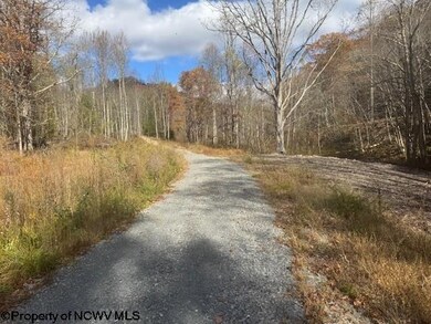 TBD Adolph Road (Rr), Mill Creek, WV 26280 - photo 5