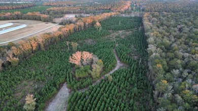 6580 Hwy 431 S, Pittsview, AL 36871 - photo 5