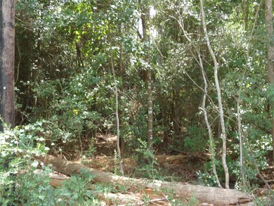 31807 Charter Ln, Waller, TX 77484 - photo 3