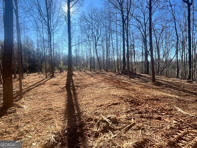 3853 Reservoir Dr unit TRACT 12, Gainesville, GA 30507 - photo 5