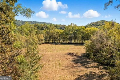 910 Brushtown Rd, Cisco, GA 30708 - photo 7