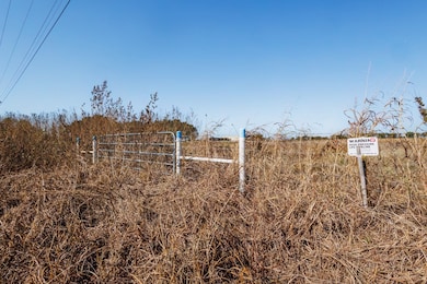 5814 Woodard Ave, Cleburne, TX 76033 - photo 5