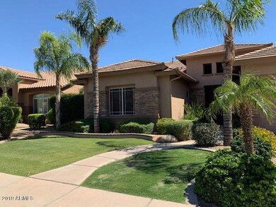 Grass Front Yard