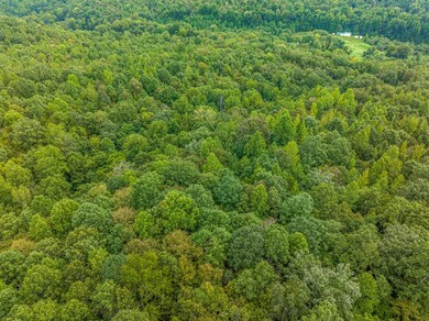 0 Hurricane Creek Rd unit RTC2567453, Linden, TN 37096 - photo 7