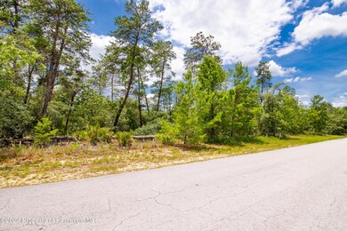 13 Lone Pine St, Sugarmill Woods, FL 34446 - photo 3