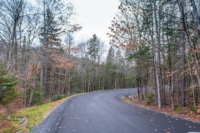 63 Villager Loop, Dover, VT 05356 - photo 3