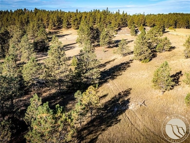 86 Remington Trail, Roundup, MT 59072 - photo 2