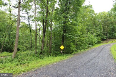 lot 8 Eagles Crag Rd, Shenandoah, VA 22630 - photo 5