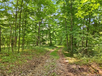 0 Dukes Rd NW unit 202506468, Depauw, IN 47115 - photo 3