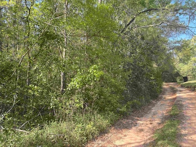 0 James Duhard Way unit 383700, Tallahassee, FL 32308 - photo 3