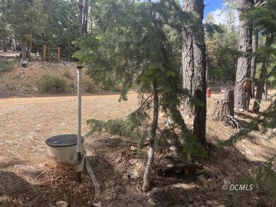 Water meter at the road