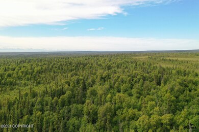 C30 Alaskan Wildwood Ranch(r), Anchor Point, AK 99556 - photo 5
