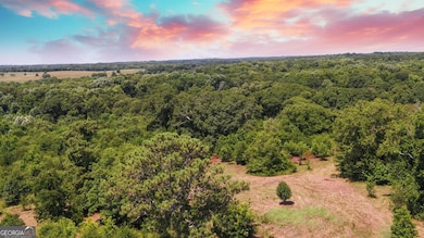 3439 TRACT 2 Providence Church Rd, Hartwell, GA 30643 - photo 7