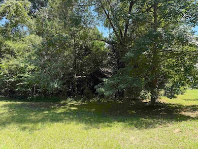 TRACT 11 Texas State Highway 87 unit 1/2 mile on Left bef, Burkeville, TX 75932 - photo 3