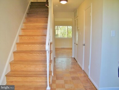 14426 Astrodome Dr, Silver Spring, MD 20906 - photo 2