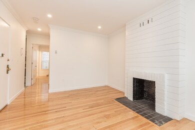 99 + 101 W Springfield St, Boston, MA 02118 - photo 4