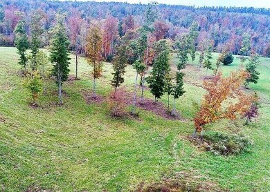 0 Red Williams Rd, Crossville, TN - photo 2