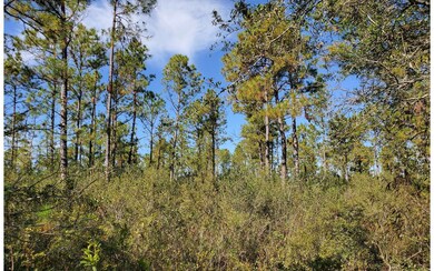 0 Brown Rd unit 123984, Lee, FL 32059 - photo 5