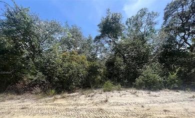 TBD NE 239th Place, Fort Mc Coy, FL 32134 - photo 3