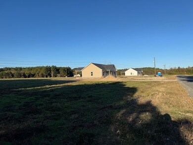 677 Winningham Rd, Saint George, SC 29477 - photo 4