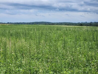 503 W North Rd, Cadott, WI 54727 - photo 4