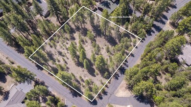 1-web-or-mls-DJI_0856