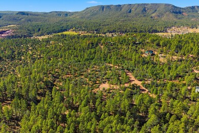 0 Fawn Dr unit 93199, Pine, AZ 85544 - photo 7