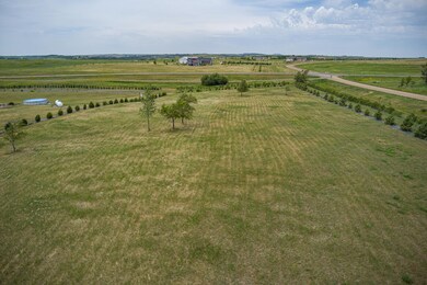 Lower Looking West 1