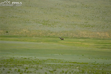 1191 Lakeview Rd, Lake George, CO 80827 - photo 4