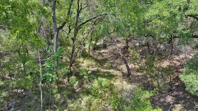 View of wooded area