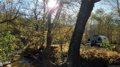 View from creek towards campsite (camper not included).