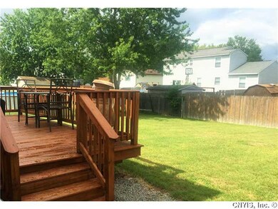 Backyard.