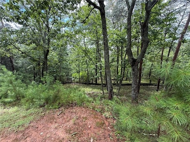 16 Ridgewater, Cartersville, GA 30012 - photo 2