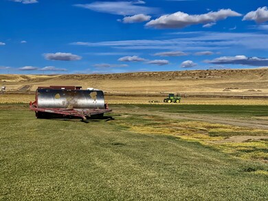 Sod Fields