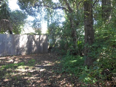 2989 Collier Ave, Jacksonville, FL 32205 - photo 3