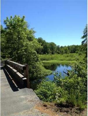 56 Clinton Rd, West Bridgewater, MA 02379 - photo 5