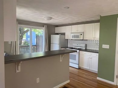 19 Prescott St unit 19, Arlington, MA 02474 - photo 5