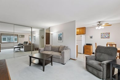333 8th St SE unit 304, Minneapolis, MN 55414 - photo 3