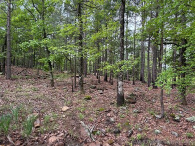 003 E Bolen Hollow W, Pittsburg, OK 74560 - photo 4